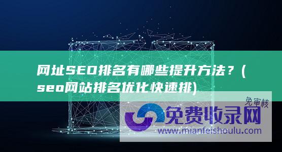 网址SEO排名有哪些提升方法？ (seo网站排名优化快速排)