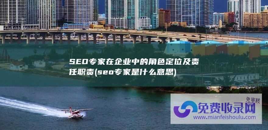 SEO专家在企业中的角色定位及责任职责 (seo专家是什么意思)